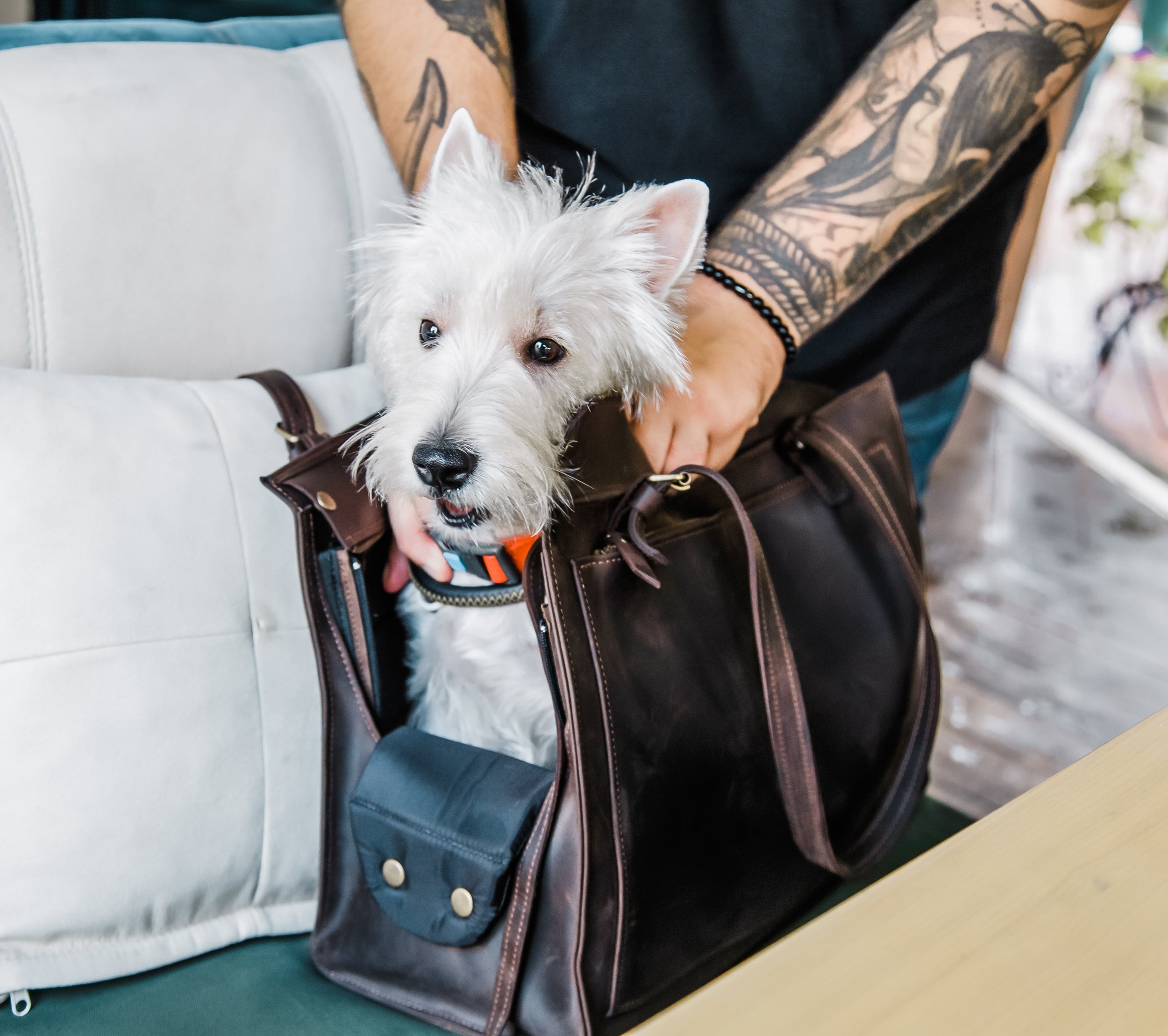 CT COUTUDI Plaid Pet Carrier Tote Portable Dog Handbag Dog Purse for Outdoor Travel Walking Hiking 