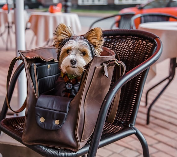 Leather Pet Carrier Pet Travel Bag Cat Carrier Bag Dog Etsy