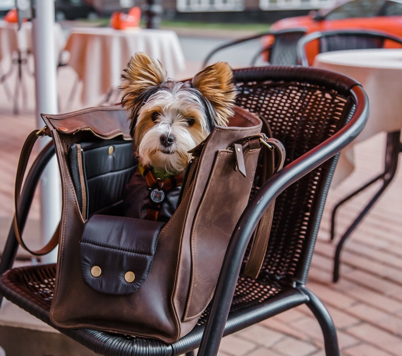 Leather pet carrier, Pet travel bag, Cat carrier bag, Dog travel bag, Dog tote bag carrier, Dog walking bag, Travel bag for dogs image 1