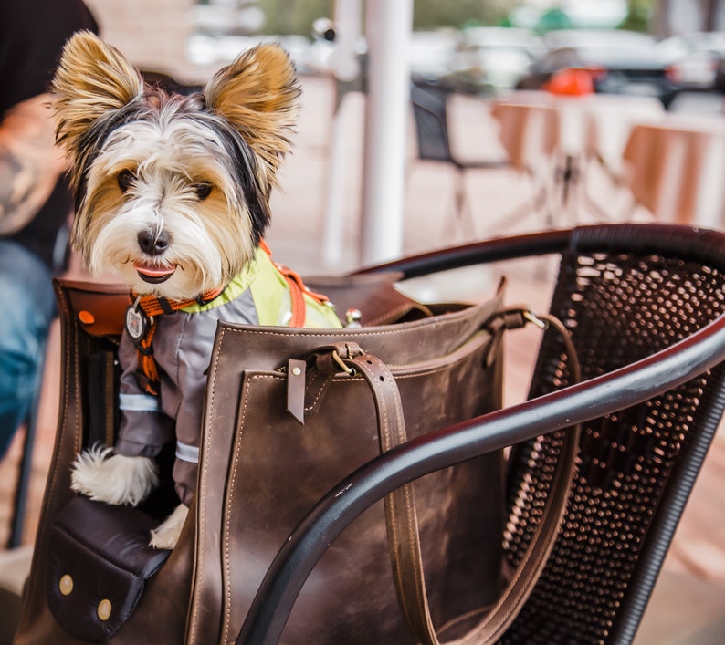 Leather pet carrier, Pet travel bag, Cat carrier bag, Dog travel bag, Dog tote bag carrier, Dog walking bag, Travel bag for dogs, Dog bag, Dog tote bag, Pet totes, Cat bag, Cat carrier, Pet bag, Pet carrier, Eco friendly leather pet carrier bag