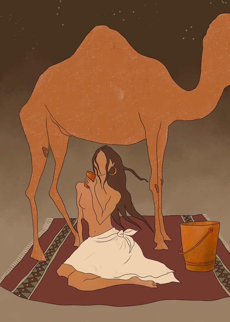 Night in the desert