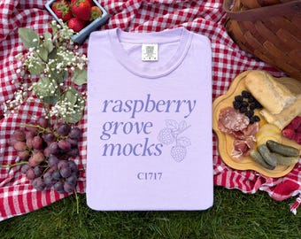 Orchid Comfort Colors Mockup, 1717 Orchid Mock up, Summer Mockup, Cottage core Mock up, Comfort Colors Flatlay Mockup, C1717 Orchid Mockup