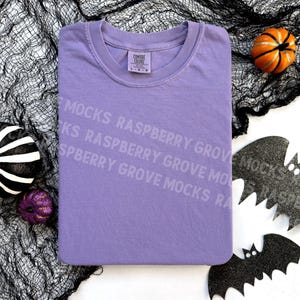 May include: A purple t-shirt with the text "Raspberry Grove" repeated on the front. The t-shirt is laying on a black mesh fabric with black bats and pumpkins.