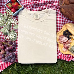 Pu&ograve; includere: Una maglietta beige su una tovaglia da picnic a quadri rossi e bianchi con uva, bacche e un tagliere di salumi.