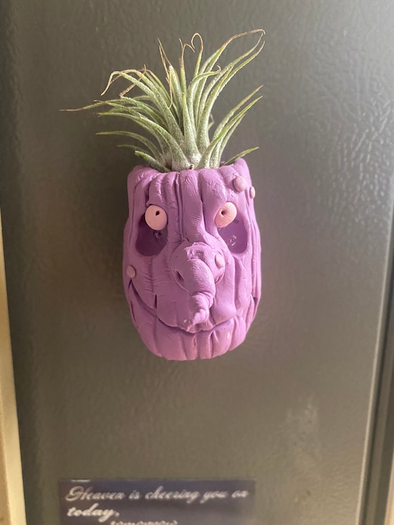 Original Handmade Evil Pumpkin Made With Cos Clay air Plant Not Included 