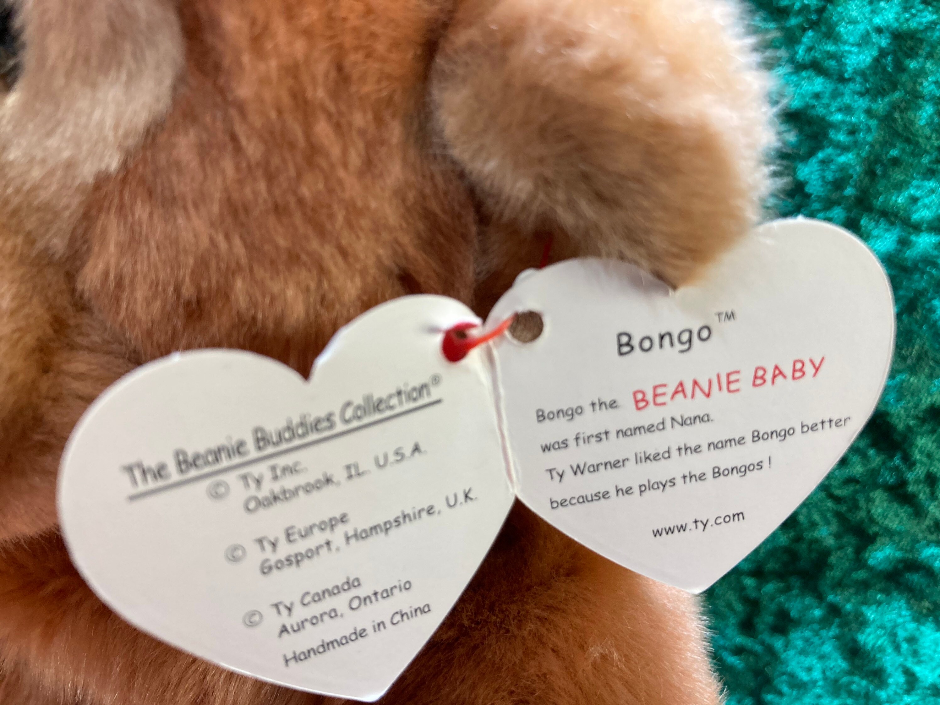 Bongo the Monkey Beanie Baby Tag Errors | Etsy UK