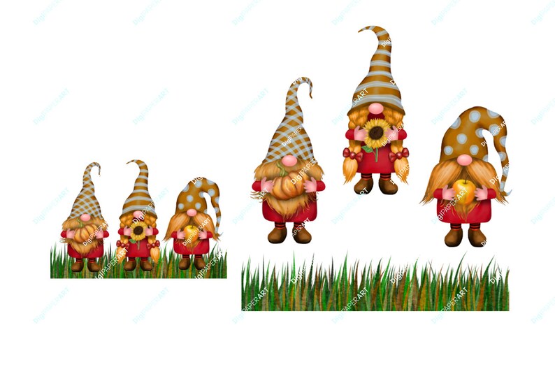 Download Gnome Sublimation PNG Fall Gnomes Clipart Fall PNG Fall | Etsy