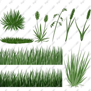 Grass Clipart, Grass Overlay Border, Grass Borders Clipart, Grass Scrapbooking, Spring Clipart, Summer Clipart, DIY Clipart Instant Download image 2