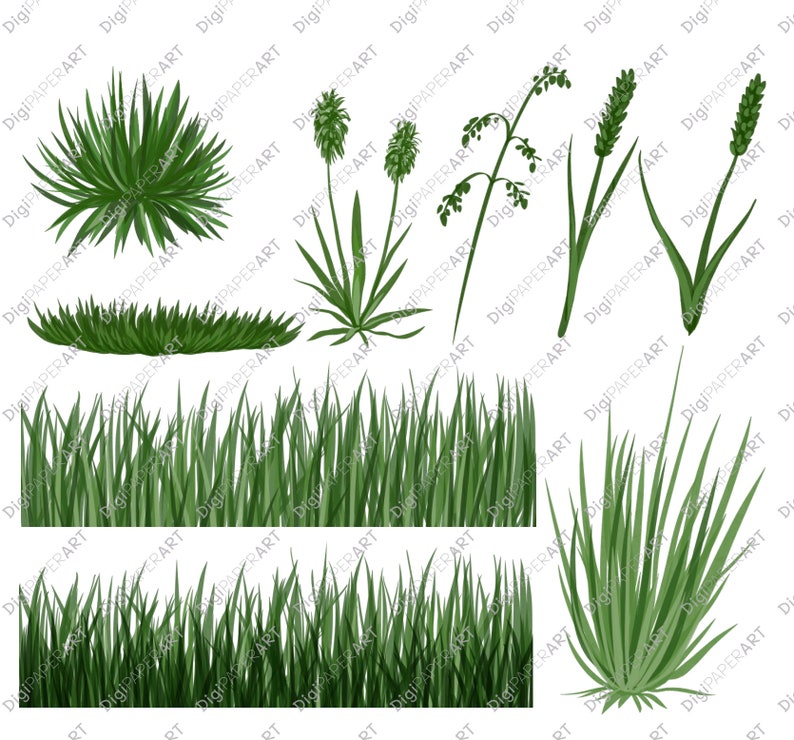 Grass Clipart, Grass Overlay Border, Grass Borders Clipart, Grass Scrapbooking, Spring Clipart, Summer Clipart, DIY Clipart Instant Download image 2