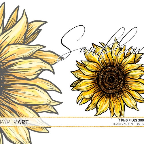 yellow sunflower clipart outline