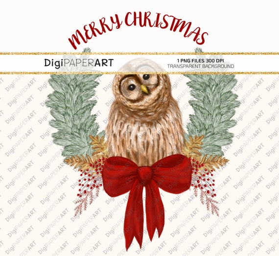 Christmas Woodland Owl Clipart Sublimation Graphics Winter Etsy