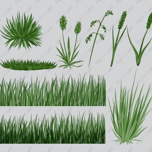 Grass Clipart, Grass Overlay Border, Grass Borders Clipart, Grass Scrapbooking, Spring Clipart, Summer Clipart, DIY Clipart Instant Download image 3