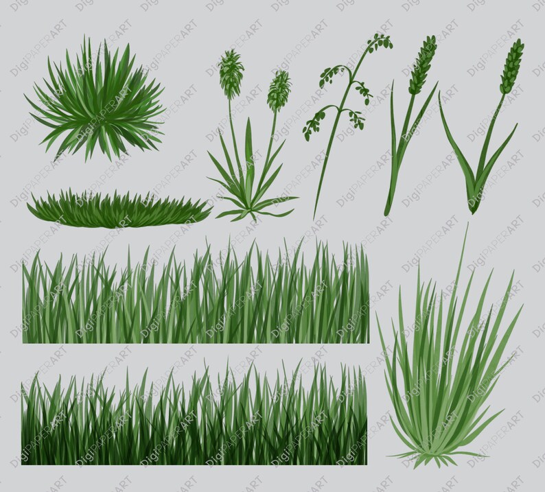 Grass Clipart, Grass Overlay Border, Grass Borders Clipart, Grass Scrapbooking, Spring Clipart, Summer Clipart, DIY Clipart Instant Download image 3