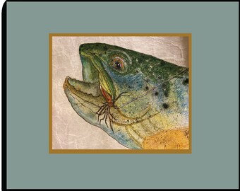 Mosca y pescado