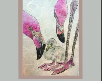 Flamingo Family