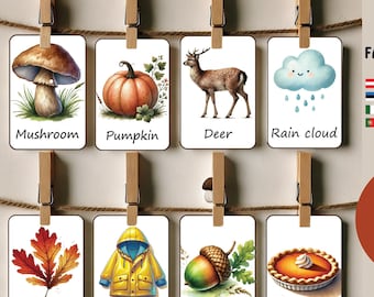 Fall Flash Cards, Autumn, Fall Flashcards, Fall Educational Printable, Toddler Flashcards, Pre-School Flashcards, Autumn Fall PDF