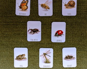 Montessori Insect & Animal Flashcards | Set of 8 Nature Cards | Bee Butterfly Ladybug Frog | Preschool Learning Printable (Digital PDF)