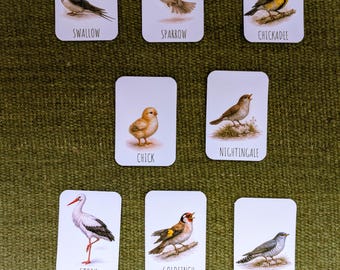 Montessori Bird Flashcards | Set of 8 Bird Cards | Nature Birds Vocabulary | Sparrow Swallow Chickadee | Preschool Learning Printable