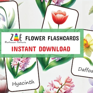 Printable SPRING flowers FLASHCARDS - Digital PDF