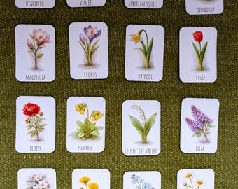 Montessori Flower Flashcards Set of 16 | Botanical Vocabulary Cards | Nature Study Cards | Watercolor Spring Flowers (Digital PDF)