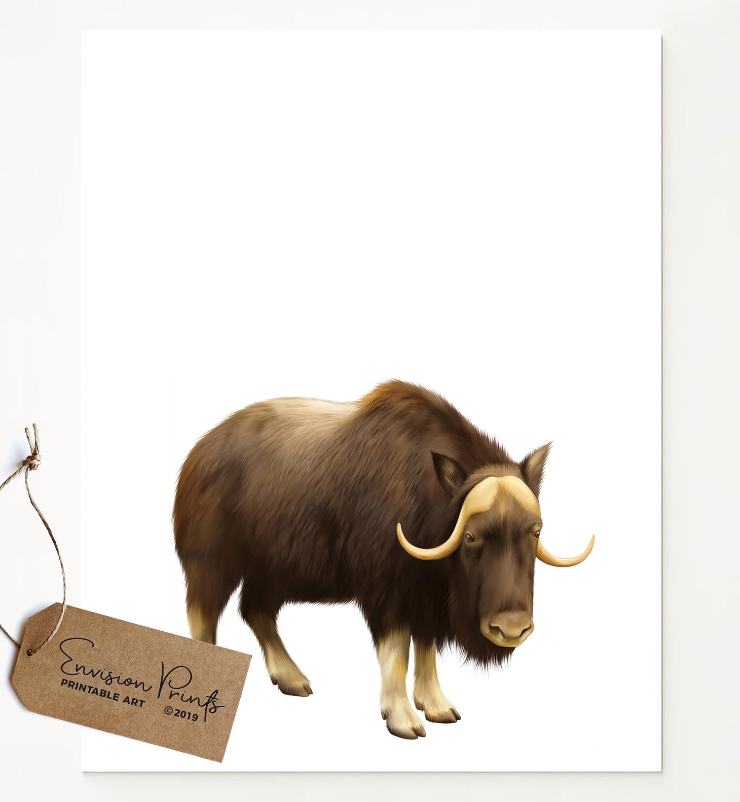 Musk Ox Full Body Original PRINTABLE Illustration Print | Etsy
