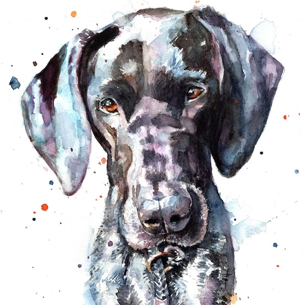 German Shorthaired Pointer - Print by Harrison Ripley