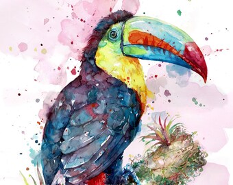 Toucan - Print by Harrison Ripley