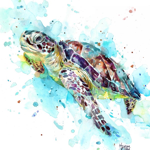 Sea Turtle (Portrait) Print By Harrison Ripley