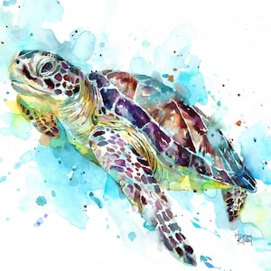 Sea Turtle - Print by Harrison Ripley