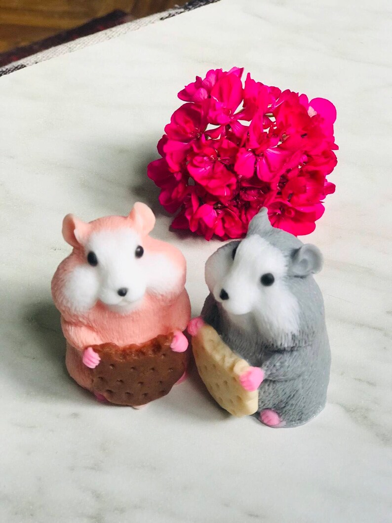 Hamster soap hamster gift soap animals soap chipmunks soap Etsy