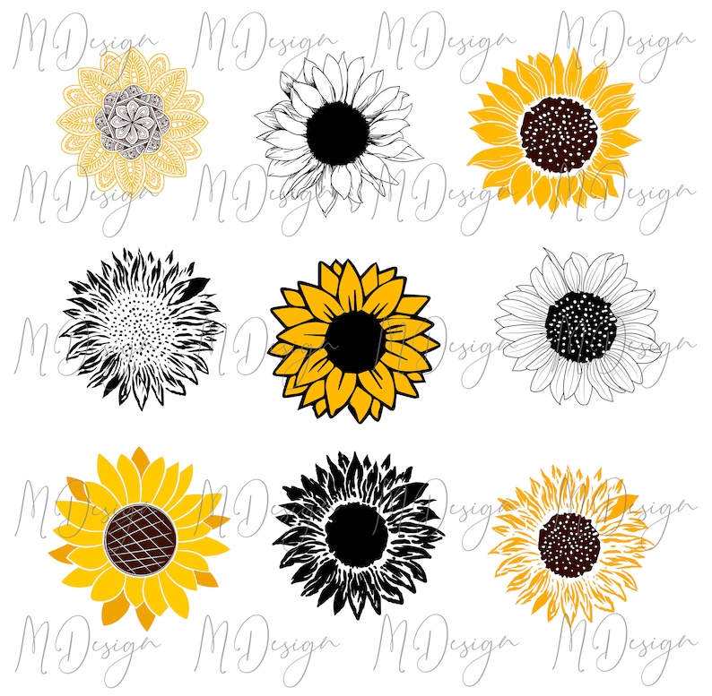 Free Free 163 Vinyl Cricut Sunflower Weed Svg SVG PNG EPS DXF File