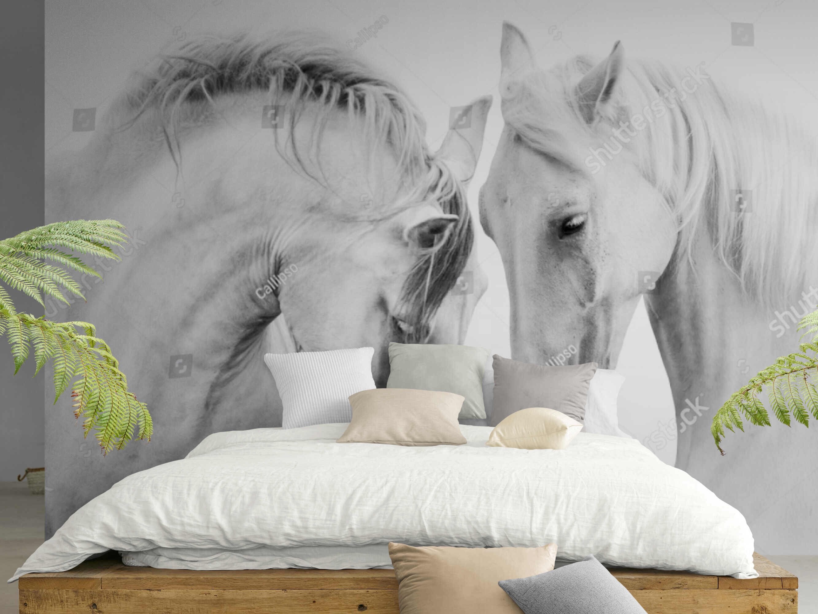Horses Wall Mural Horse Mural Wallpaper Horse Murals for Etsy