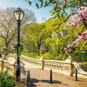 carta da parati central park carta da parati central park 4k carta da parati central park carta da parati central park iphone carta da parati central park 4k carta da parati central park