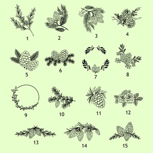 Peut inclure: Un ensemble de 15 illustrations en noir et blanc de pommes de pin et de branches. Les illustrations sont num&eacute;rot&eacute;es de 1 &agrave; 15.