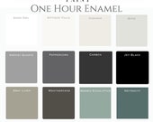 Free Shipping Eligible- Wise Owl 39 s One Hour Enamel Paint