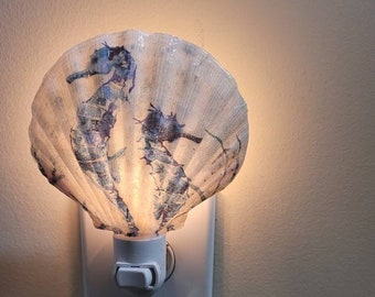 Seahorse Shell Nightlight, Shell Art,  Coastal Decor, seahorse light,  light with seahorse