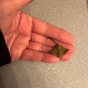 May include: A small, brown, stingray figurine with black eyes and a black tail.