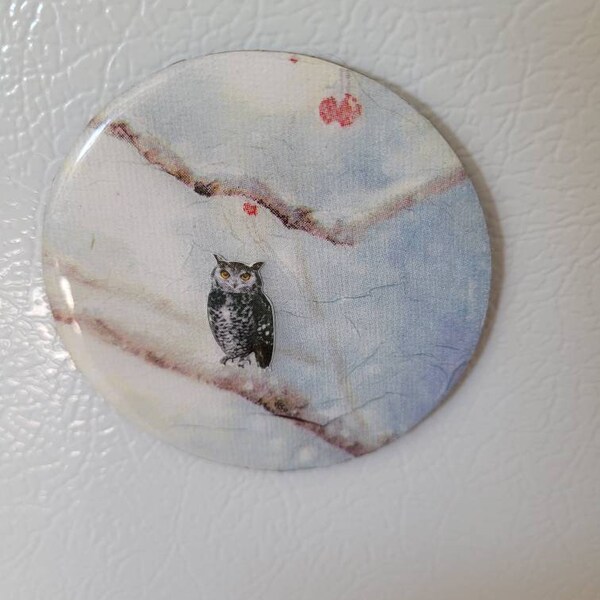 Floral Owls Fridge Magnets Set 4pc Round 55mm Flowers Bird