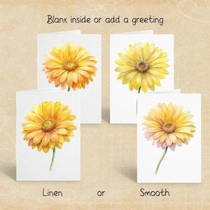 Daisy Flowers, Floral Greeting Card Set, Pretty Note Card Pack, Botanical Stationery, Linen or Smooth, Peel and Stick Envelopes Included