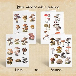 Paquet de cartes de voeux Champignons sauvages, cartes de correspondance botaniques, ensemble de papeterie vierge ou personnalisée avec enveloppes autocollantes