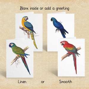 Paquet de cartes de voeux perroquets aras, cartes de correspondance d'oiseaux, ensemble de papeterie vierge ou personnalisée avec enveloppes autocollantes