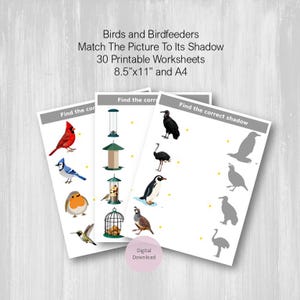 May include: Three printable worksheets featuring bird and bird feeder illustrations. The worksheets are designed to match the picture to its shadow. The text on the worksheets reads "Find the correct shadow". The worksheets are A4 size.