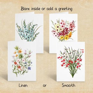 Paquet de cartes de voeux Pavonia, Ixia, fleurs d'anagallis, cartes de correspondance florales botaniques, ensemble de papeterie vierge avec enveloppes autocollantes