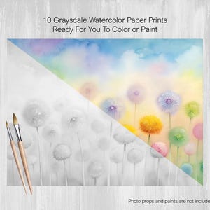 Dandelion Flowers, 10 Grayscale Watercolor Painting Pages Printed on Watercolor Paper, Color, Paint, Acrylics, Markers, Pastels, DIY Art
