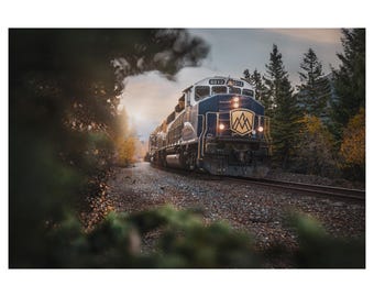 May include: A blue and white train engine with the number 8013 on the side, traveling through a forest. The train is in motion and the engine is facing the camera. The train is surrounded by trees and the sun is shining through the trees.