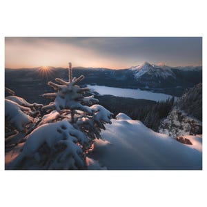 Pode incluir: Uma paisagem montanhosa nevada com uma única árvore de folha perene em primeiro plano. O sol se põe atrás das montanhas, lançando um brilho quente na neve.