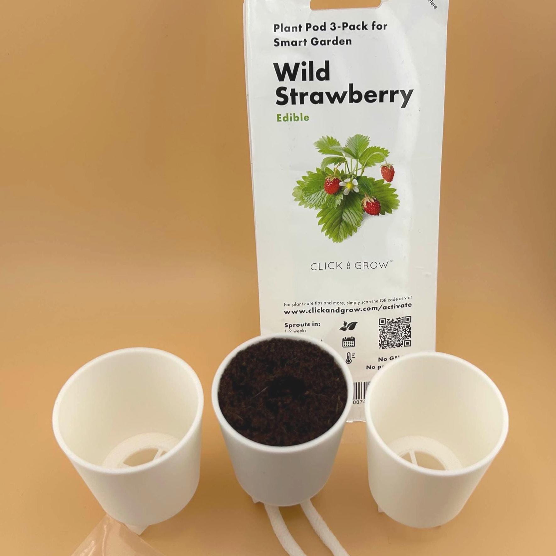 3x Click & Grow to Aerogarden Pod Baskets  Includes Water Wicks for  Seedling Starting - Etsy