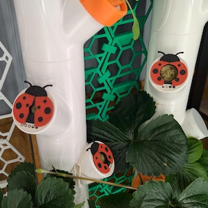 May include: White plastic tubes with red and black ladybug stickers attached. The tubes are part of a vertical gardening system. Green leafy plants are growing in the tubes.