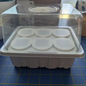 Op de afbeelding: Een witte plastic zaaitray met een doorzichtig plastic deksel. De tray bevat zes witte, ronde zaaipads. Het deksel heeft een ventilatieopening aan de bovenkant. De tray staat op een blauw rasteroppervlak.