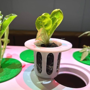 Lettuce Grow Plug Baskets for Click and Grow – 10 Pack, Reusable, White PLA